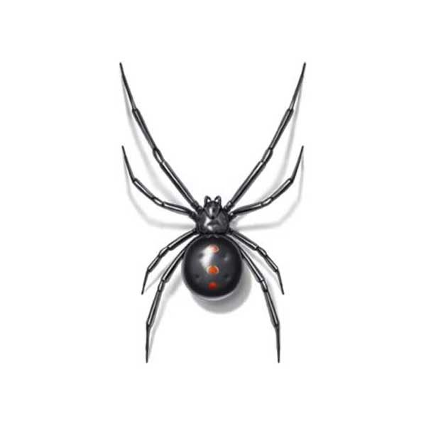 New Mexico Pest Control provides information on black widow spiders in Santa Fe and Albuquerque NM.