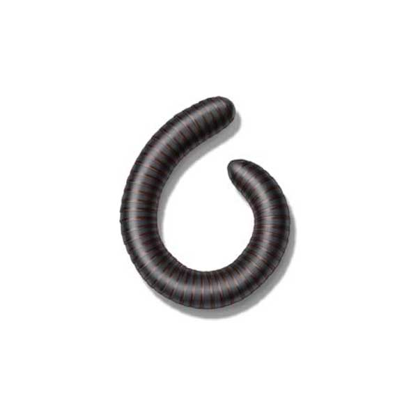 New Mexico Pest Control provides information on millipedes in Santa Fe and Albuquerque NM.