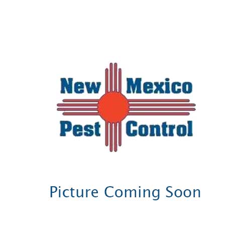 Pest Image Coming Soon - New Mexico Pest Control - Serving Santa Fe, Taos, and Albuquerque