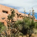 Home in New Mexico - New Mexico Pest Control