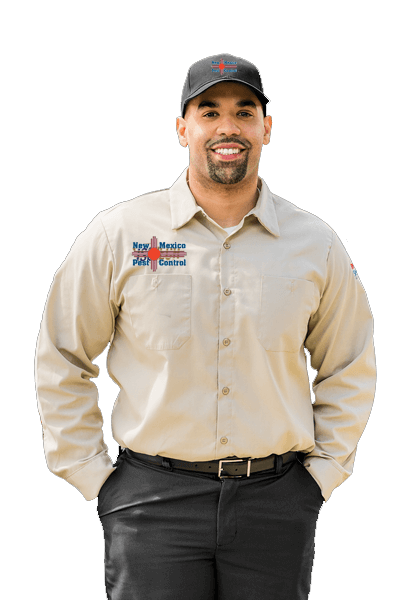 Pest Control & Exterminator Services in Taos County NM
