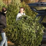 Shake out your Christmas tree before bringing it into your Albuquerque NM or Santa Fe NM home - New Mexico Pest Control