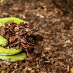 Mulch is one of the main things that attract termites. Learn more from New Mexico Pest Control in Santa Fe.