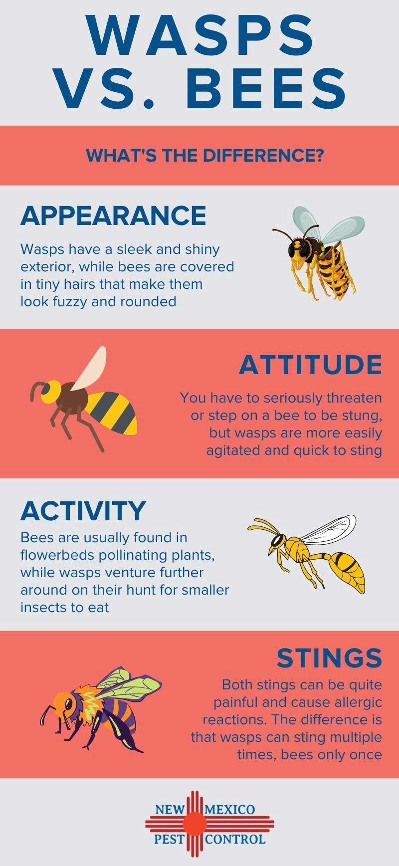 Differences between wasps and bees in Santa Fe NM - New Mexico Pest Control