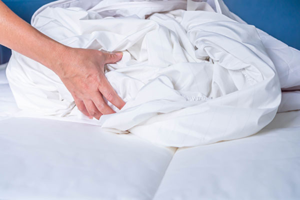 How to Prevent Bed Bugs in Santa Fe NM
