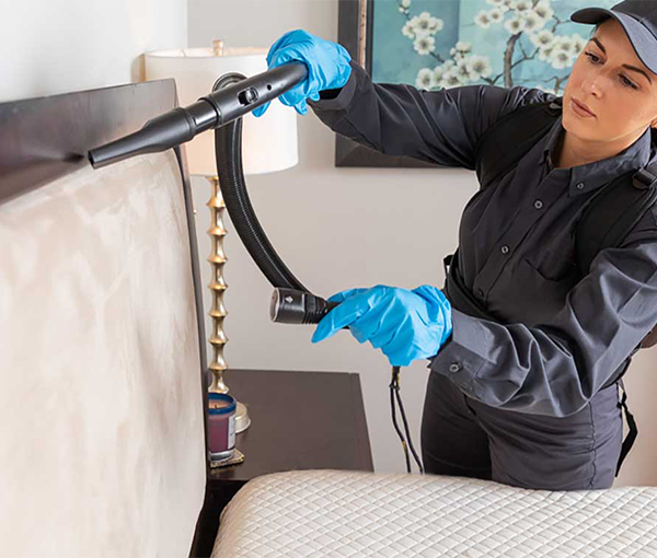 Bed Bug Treatment Options in Santa Fe - New Mexico Pest Control