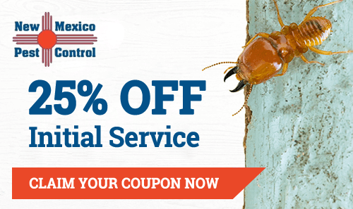 25 % off initial service coupon offer