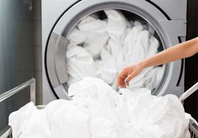 Infested sheets being washed in Santa Fe - New Mexico Pest Control